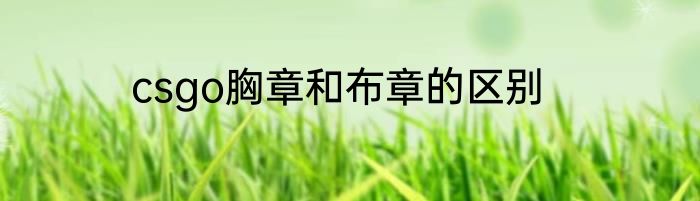 csgo胸章和布章的区别