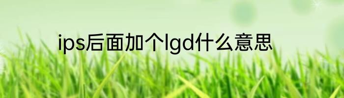 ips后面加个lgd什么意思