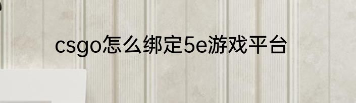 csgo怎么绑定5e游戏平台