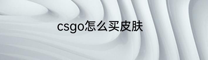 csgo怎么买皮肤