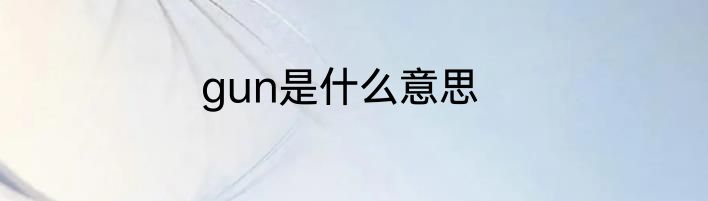 gun是什么意思
