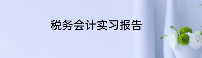 税务会计实习报告