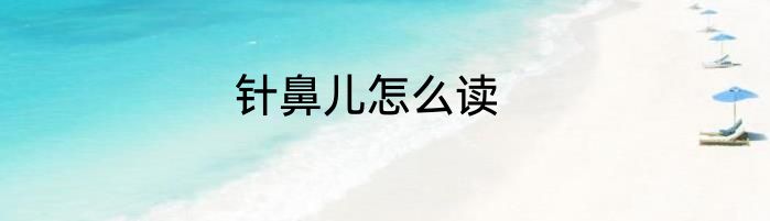 针鼻儿怎么读