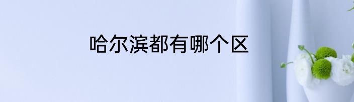 哈尔滨都有哪个区