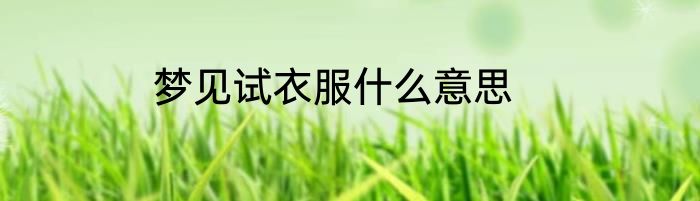 梦见试衣服什么意思