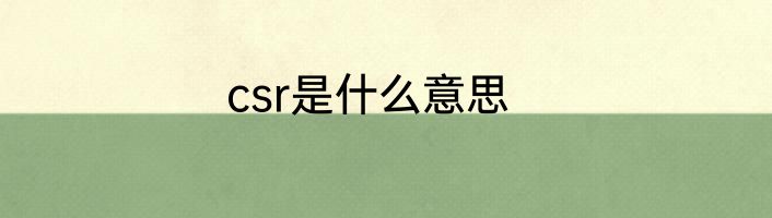 csr是什么意思