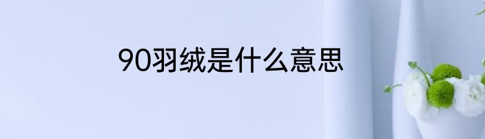 90羽绒是什么意思
