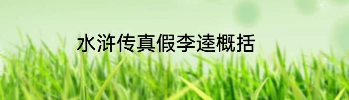 水浒传真假李逵概括