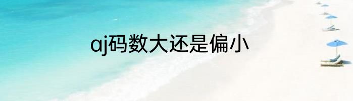 aj码数大还是偏小