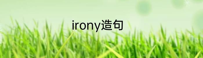 irony造句
