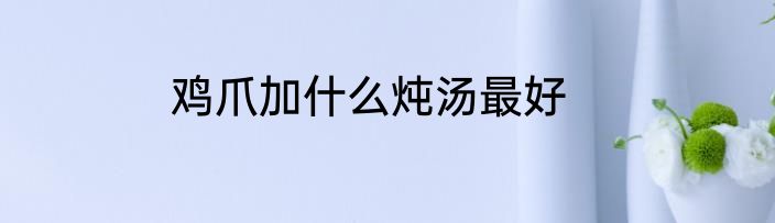 鸡爪加什么炖汤最好