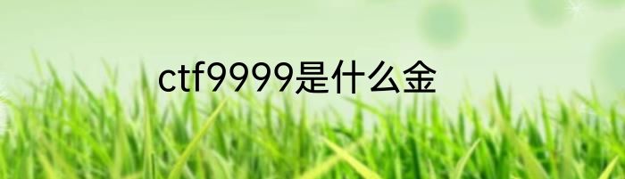 ctf9999是什么金
