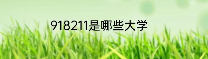 918211是哪些大学