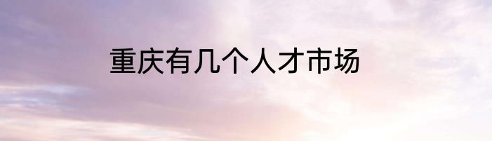 重庆有几个人才市场