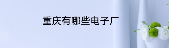重庆有哪些电子厂
