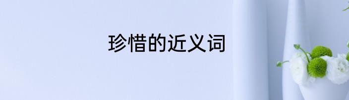 珍惜的近义词