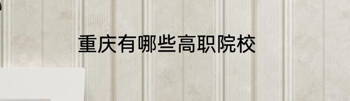 重庆有哪些高职院校
