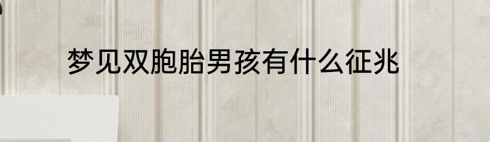 梦见双胞胎男孩有什么征兆