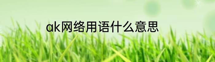 ak网络用语什么意思