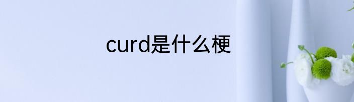 curd是什么梗
