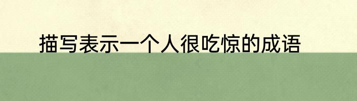 描写表示一个人很吃惊的成语