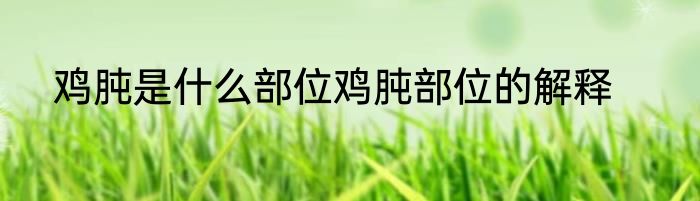 鸡肫是什么部位鸡肫部位的解释