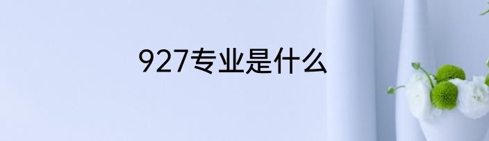 927专业是什么