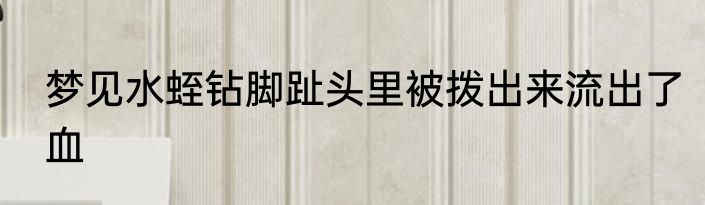 梦见水蛭钻脚趾头里被拨出来流出了血