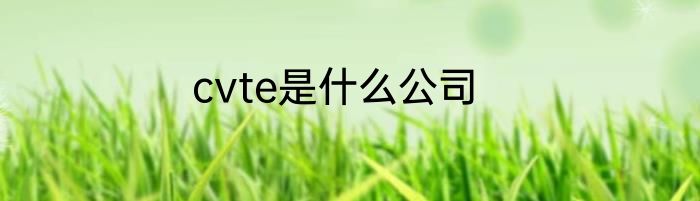 cvte是什么公司