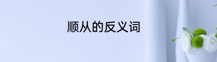 顺从的反义词