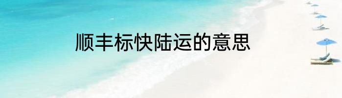 顺丰标快陆运的意思