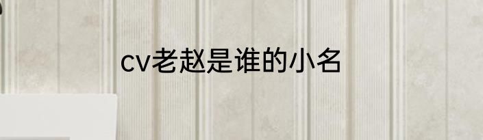 cv老赵是谁的小名