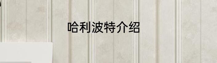 哈利波特介绍