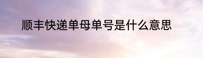顺丰快递单母单号是什么意思