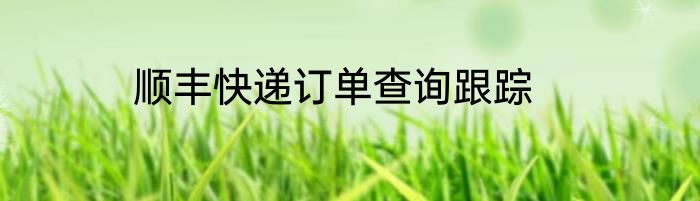 顺丰快递订单查询跟踪