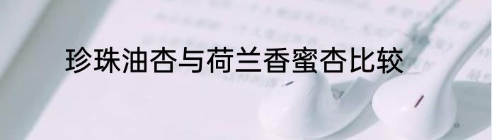 珍珠油杏与荷兰香蜜杏比较