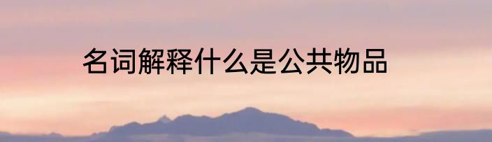 名词解释什么是公共物品
