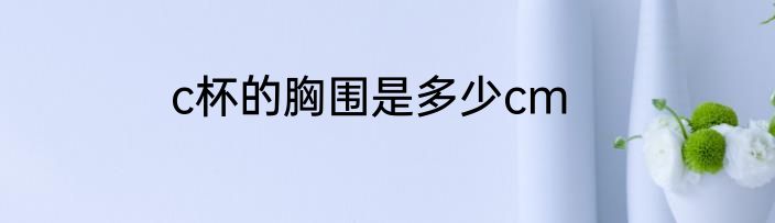 c杯的胸围是多少cm