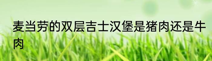 麦当劳的双层吉士汉堡是猪肉还是牛肉