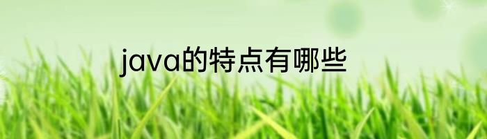 java的特点有哪些