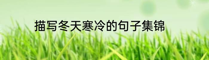 描写冬天寒冷的句子集锦