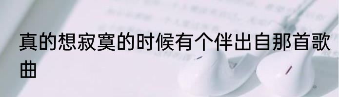 真的想寂寞的时候有个伴出自那首歌曲