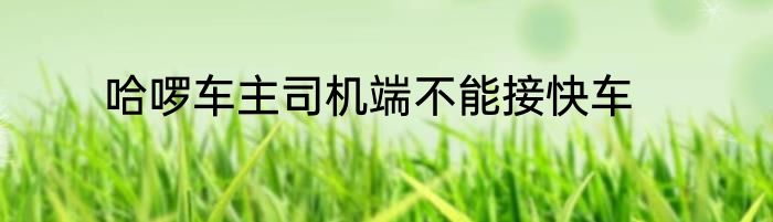 哈啰车主司机端不能接快车
