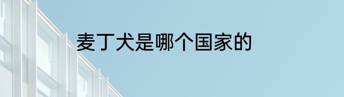 麦丁犬是哪个国家的