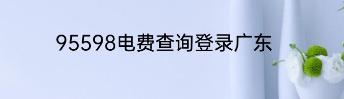 95598电费查询登录广东