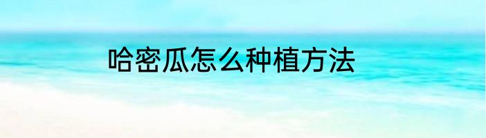 哈密瓜怎么种植方法
