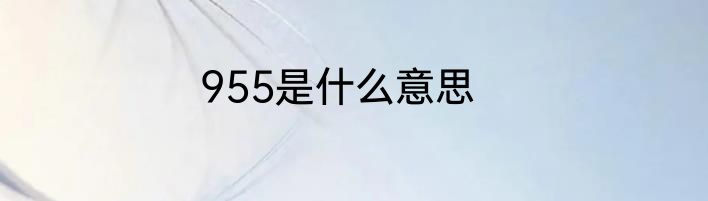 955是什么意思