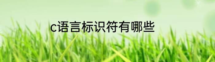 c语言标识符有哪些
