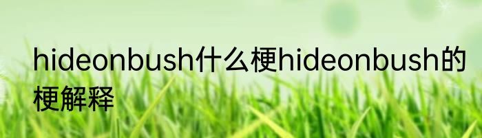 hideonbush什么梗hideonbush的梗解释