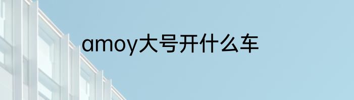 amoy大号开什么车